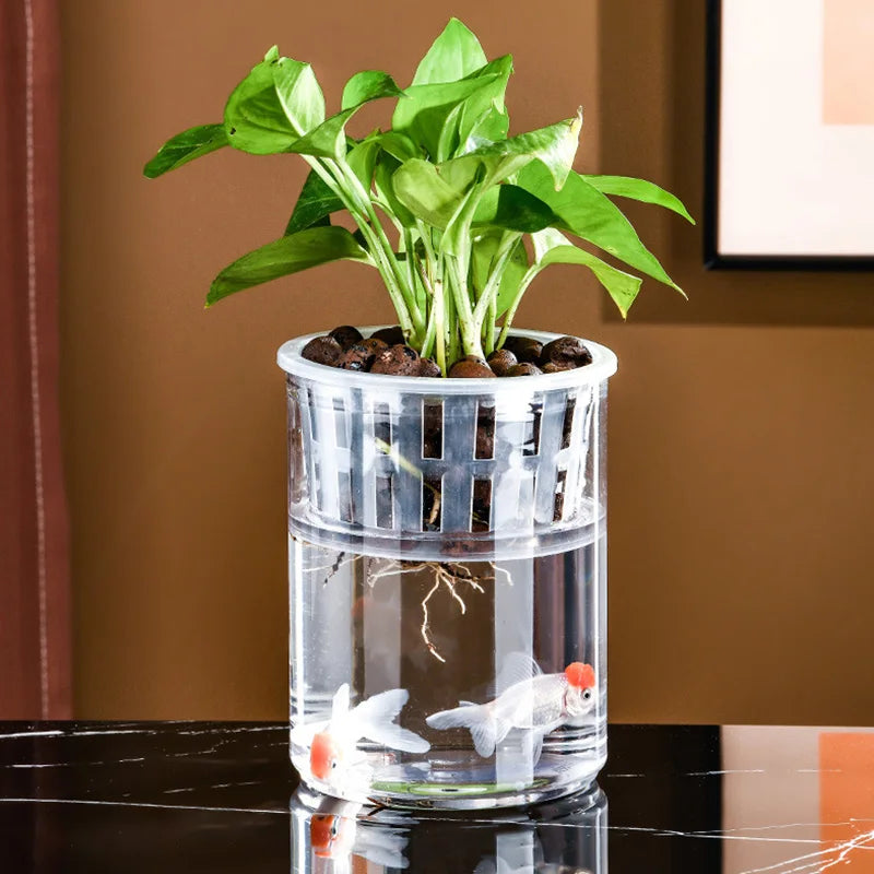 Vase Transparent original
